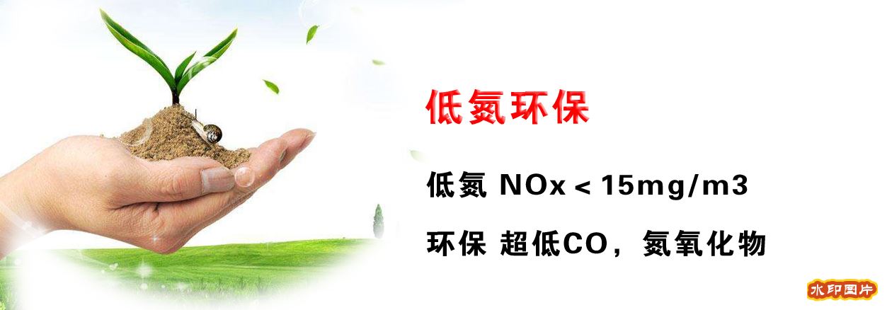 鑄硅鋁燃氣鍋爐