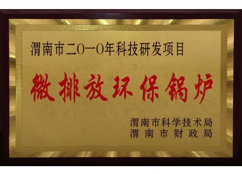 微排放環保鍋爐